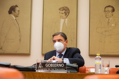 Hoy, en la Comisión de Agricultura del Congreso de los Diputados   