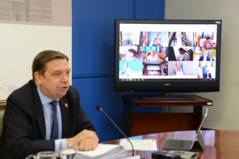 Consejo consultivo de política agrícola para asuntos comunitarios