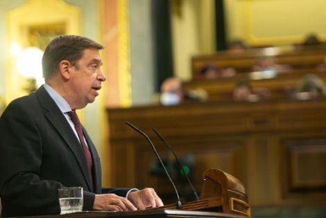 Hoy, en el Pleno del Congreso