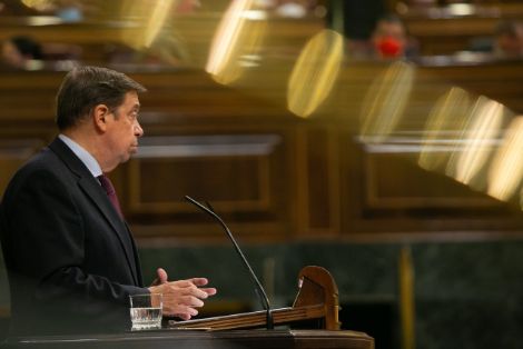 Hoy, en el Pleno del Congreso