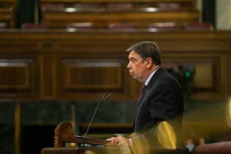 Hoy, en el Pleno del Congreso