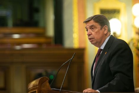 Hoy, en el Pleno del Congreso