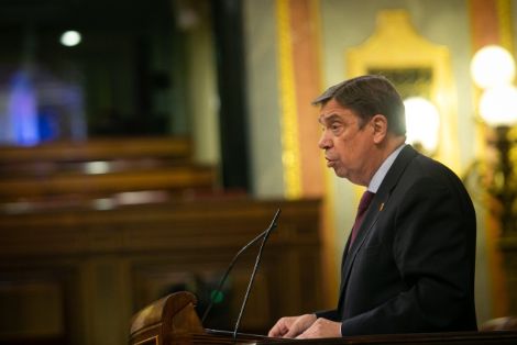 Hoy, en el Pleno del Congreso