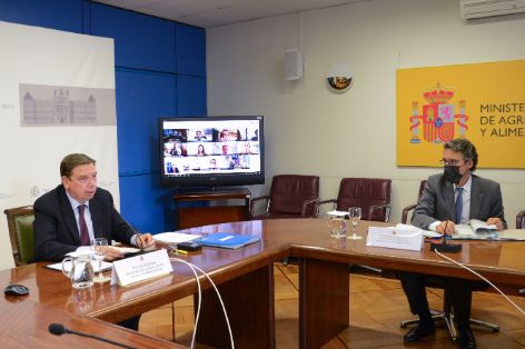 HOY, EN UNA REUNIÓN POR VIDEOCONFERENCIA   