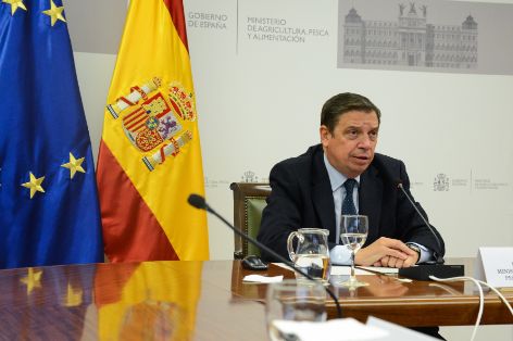 HOY, POR VIDEOCONFERENCIA