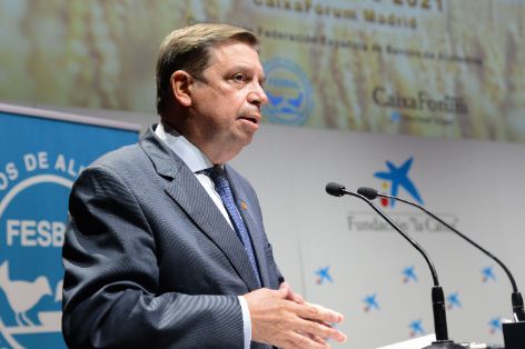 EL MINISTRO CLAUSURA LA ENTREGA DE LOS PREMIOS ‘ESPIGA DE ORO’ DE FESBAL