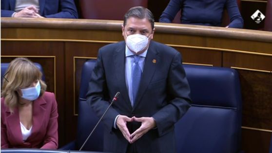 Hoy, en el Congreso de los Diputados 