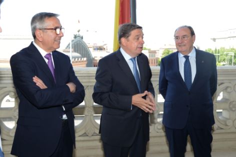 A través de un convenio con el ICO y SAECA