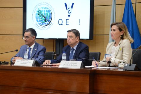 HOY, EN UNA JORNADA ORGANIZADA POR EL CONSEJO OLEÍCOLA INTERNACIONAL   