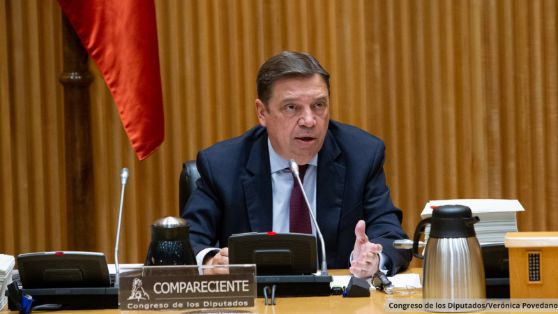 Comparecencia en comisión en el Congreso de los Diputados 