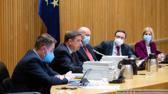 Comparecencia en comisión en el Congreso de los Diputados 