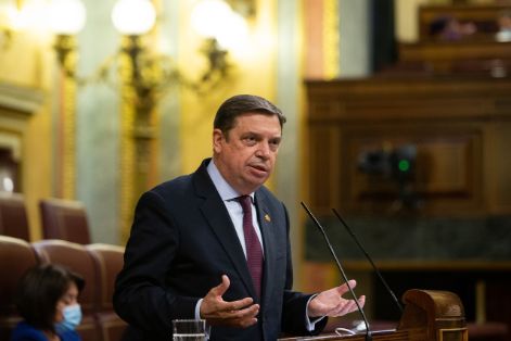 Hoy, en respuesta a una interpelación en el Congreso de los Diputados