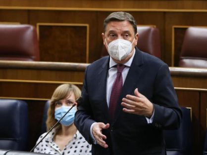 Hoy, en el Congreso de los Diputados