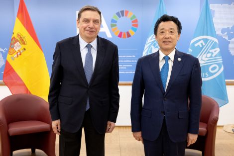 HOY, EN UNA REUNIÓN CON EL DIRECTOR GENERAL DE LA FAO, EN ROMA 