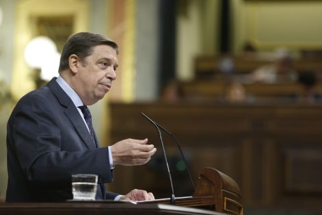 Hoy, en el Pleno del Congreso de los Diputados 