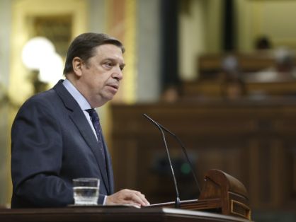 Hoy, en el Pleno del Congreso de los Diputados 