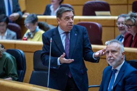 Hoy, en una respuesta parlamentaria en el Senado