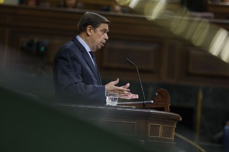 Hoy, en el Pleno del Congreso de los Diputados 