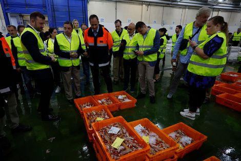 Hoy, en el marco de la presidencia española del Consejo de la UE