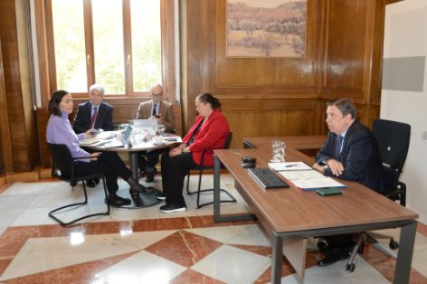 Reunión por vídeoconferencia