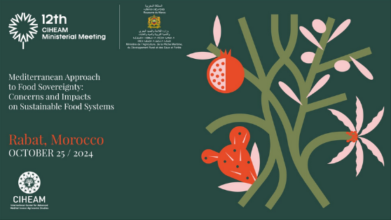 La reunión se celebra mañana, 25 de octubre, en Rabat (Marruecos)