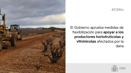 Hoy, en el Consejo de Ministros