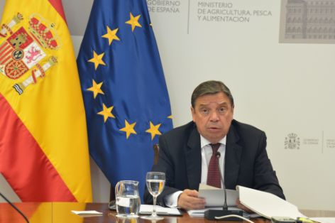 Hoy, en sesión celebrada por videoconferencia