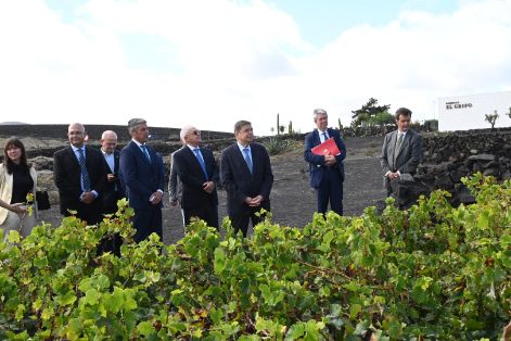 Hoy, en el 250 aniversario de las Bodegas El Grifo, la más antigua de Canarias