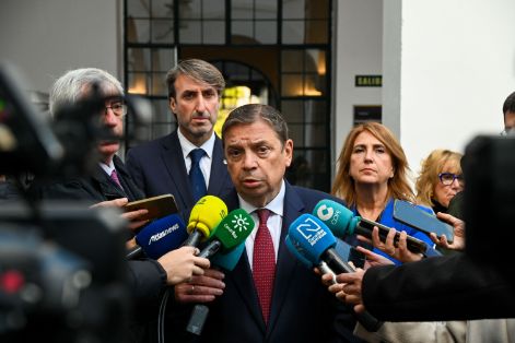 Hoy, en Córdoba, en la celebración del Día Mundial del Olivo