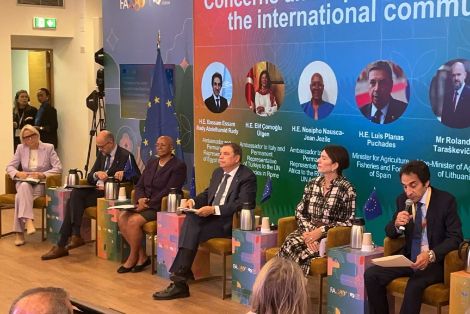 Hoy, en el Día Mundial de la Alimentación, en Roma