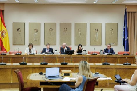 Hoy, en una comparecencia en el Congreso de los Diputados
