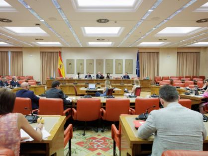 Hoy, en una comparecencia en el Congreso de los Diputados