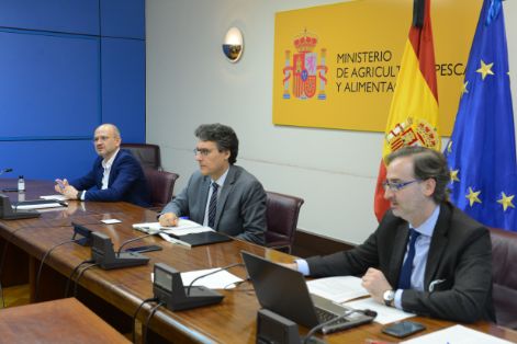 HOY, EN UNA VIDEOCONFERENCIA PRESIDIDA POR EL SECRETARIO GENERAL DE AGRICULTURA Y ALIMENTACIÓN 