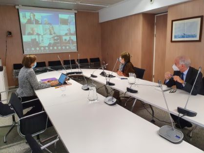 Por videoconferencia