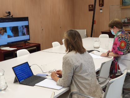En una reunión mantenida hoy por videoconferencia