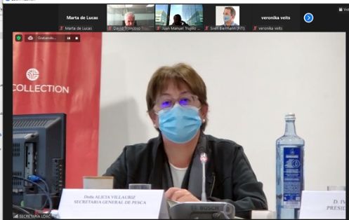 HOY, EN LA REUNIÓN DEL COMITÉ EJECUTIVO DEL CONSEJO CONSULTIVO DE LA FLOTA COMUNITARIA DE LARGA DISTANCIA