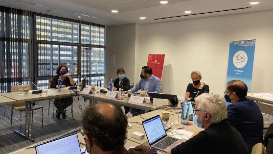 HOY, EN LA REUNIÓN DEL COMITÉ EJECUTIVO DEL CONSEJO CONSULTIVO DE LA FLOTA COMUNITARIA DE LARGA DISTANCIA