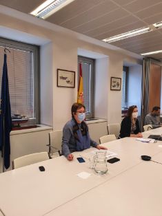 En una reunión mantenida hoy por videoconferencia