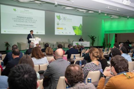 HOY, EN EL 16º SIMPOSIO NACIONAL DE SANIDAD VEGETAL, EN SEVILLA
