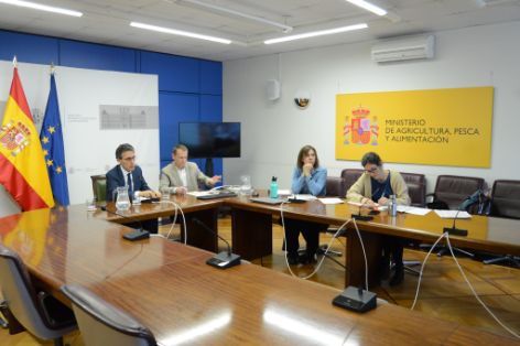 Hoy, en una reunión por videoconferencia  