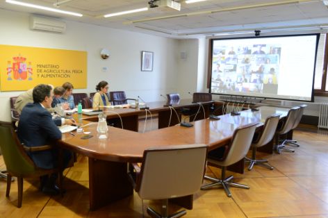 Hoy, en una reunión por videoconferencia  