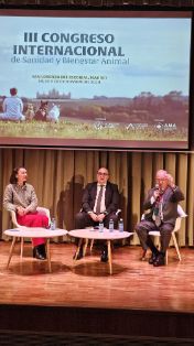Hoy, en San Lorenzo de El Escorial (Madrid) 