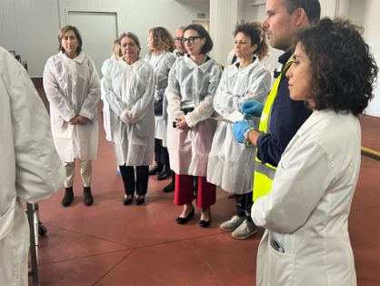 Nuevo modelo integrado de inspección