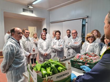 Nuevo modelo integrado de inspección