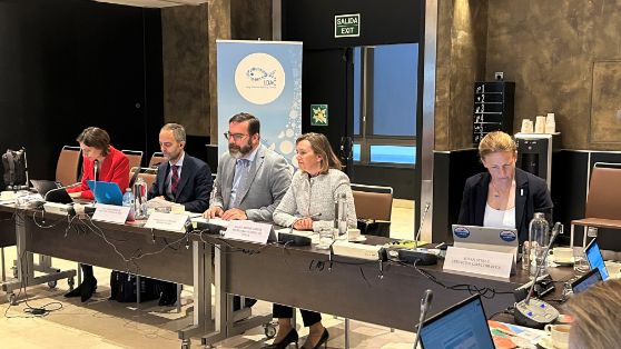 Hoy, en el Consejo Consultivo de la Flota de Larga Distancia 