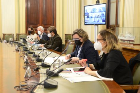 REUNIÓN DE LA COMISIÓN GENERAL DE ENESA, EN LA SEDE DEL MAPA