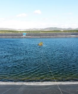 A través de la Sociedad Mercantil Estatal de Infraestructuras Agrarias (SEIASA),