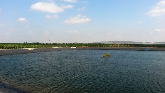 A través de la Sociedad Mercantil Estatal de Infraestructuras Agrarias (SEIASA),