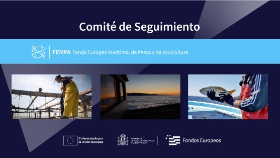 Seguimiento del programa financiero del FEMPA