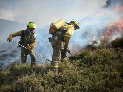
Tras los incendios del pasado 28 de junio 
